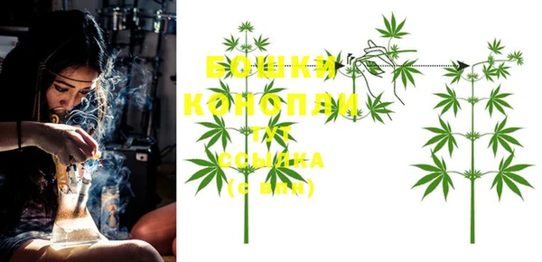 гидропоника Новозыбков