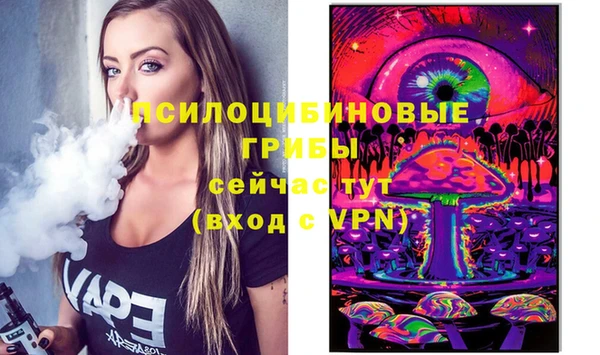 гидропоника Новозыбков