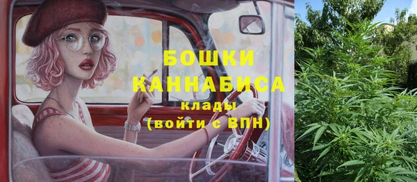 мдма Новодвинск