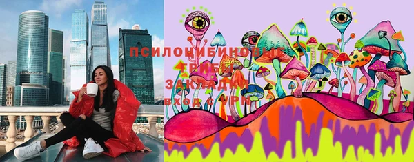 гидропоника Новозыбков