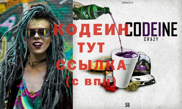 дживик Билибино