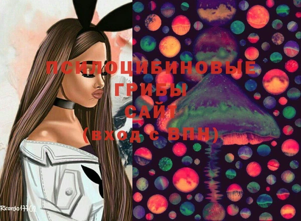 мдма Новодвинск