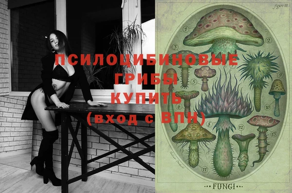 гидропоника Новозыбков