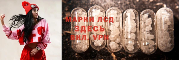 гидропоника Новозыбков