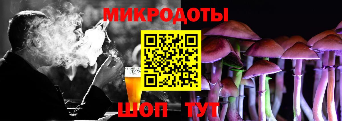 Псилоцибиновые грибы Psilocybe Ставрополь