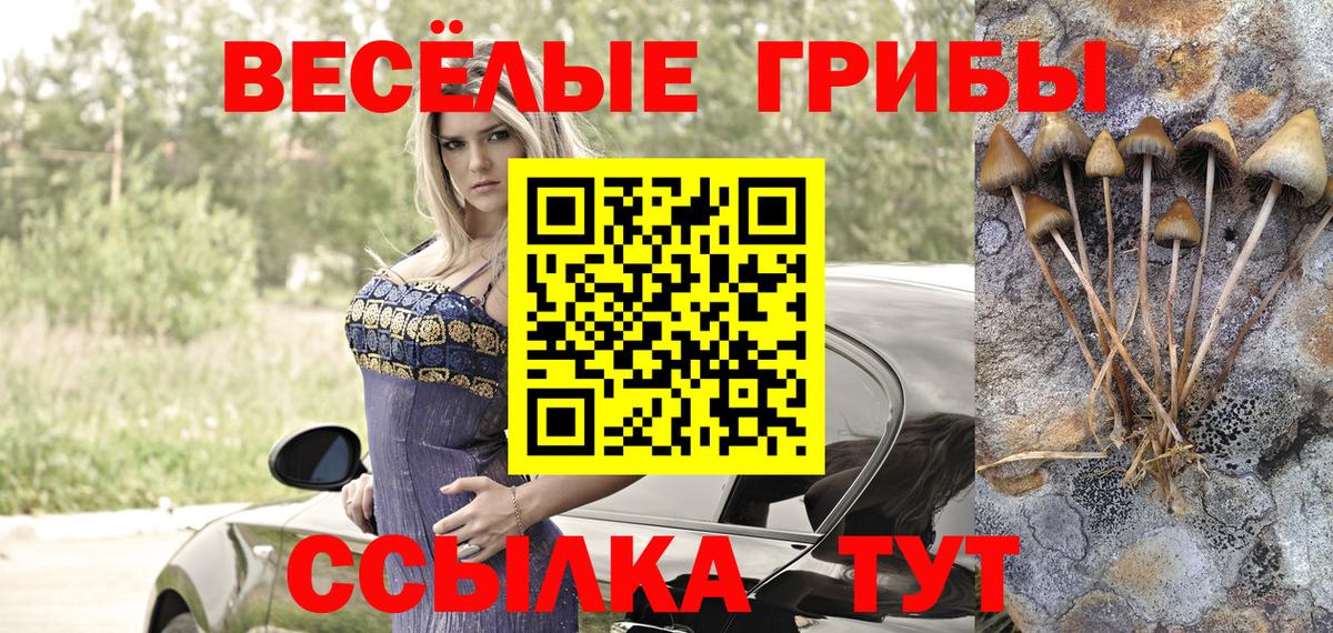 Псилоцибиновые грибы Psilocybe  Вход с VPN  Ставрополь  Галлюциногенные грибы ЛСД 