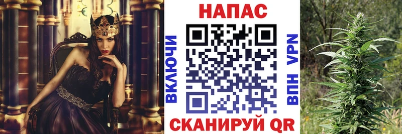 Конопля OG Kush  мега ONION  Ставрополь 